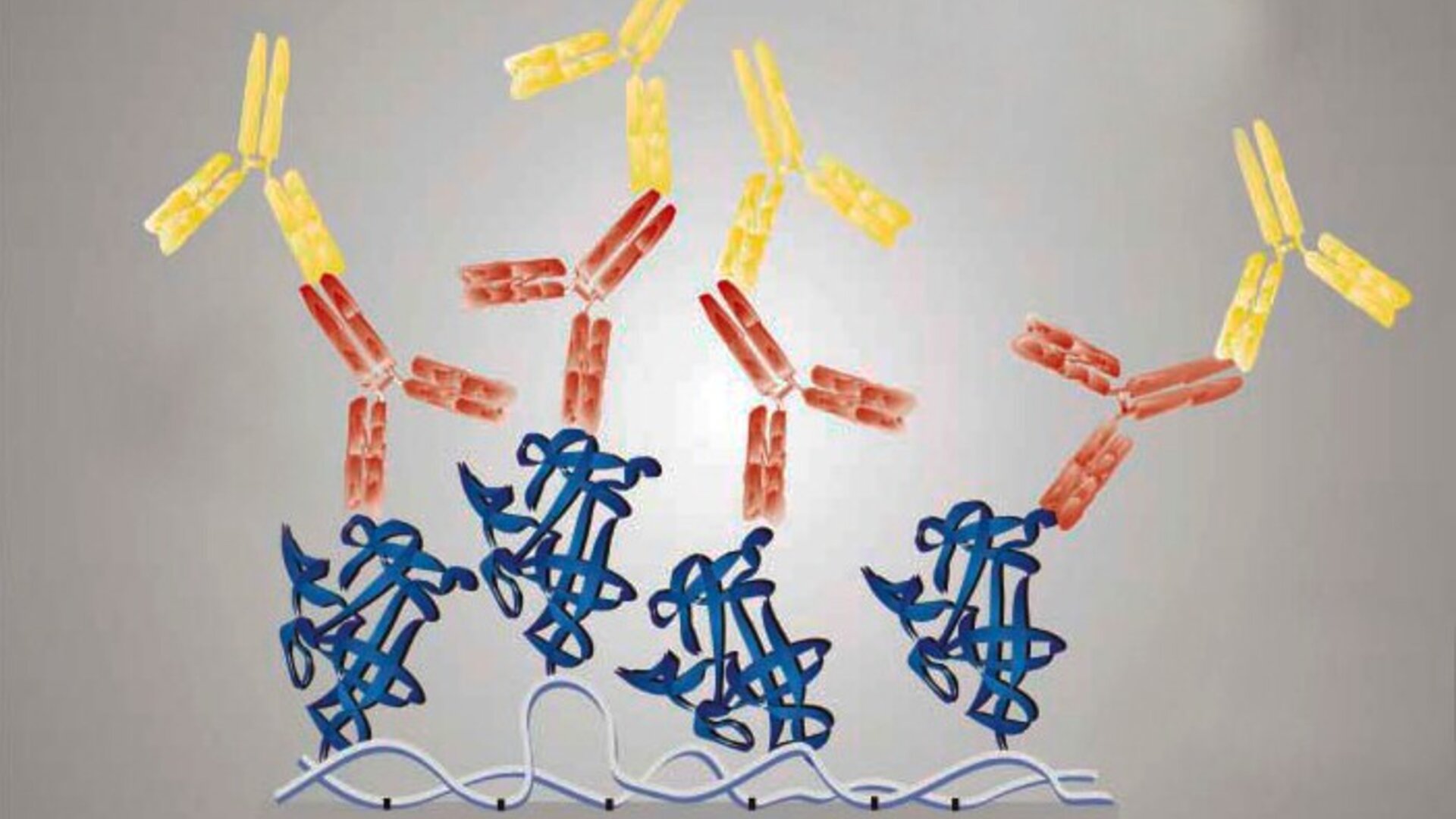 Аллергочип ImmunoCAP ISAC — биочип для молекулярной аллергодиагностики