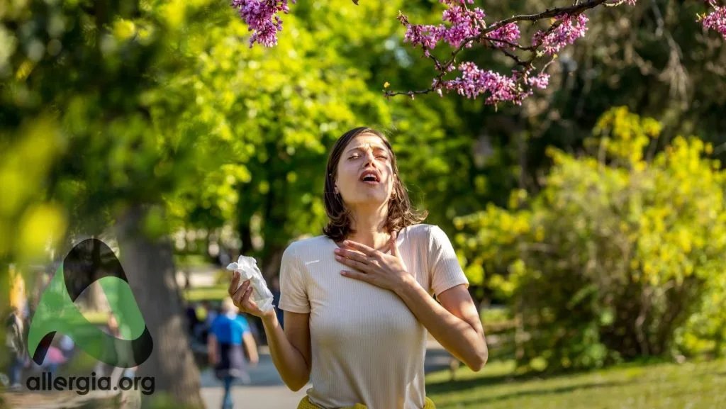 Аллергия на пыльцу деревьев — поллиноз