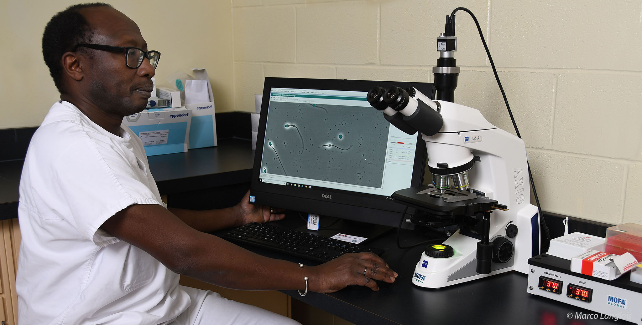 CASA-система для компьютерного анализа спермы в андрологической лаборатории