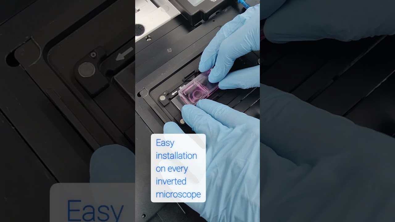 Цитогенетическая лаборатория — анализ продуктов зачатия (POC)