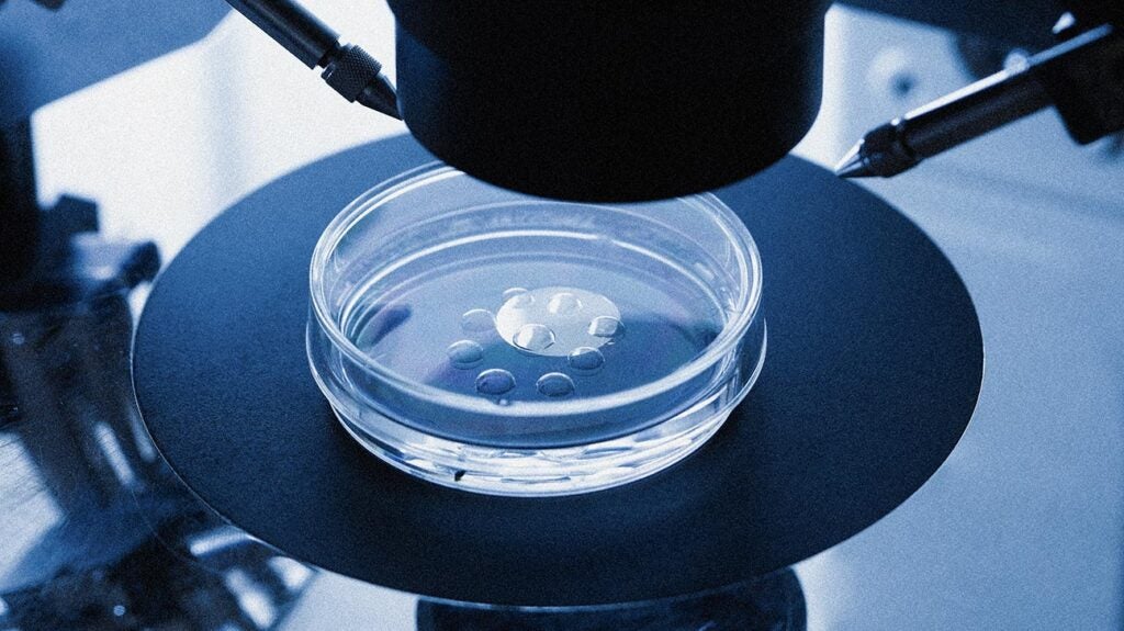 Исследования in vivo и in vitro