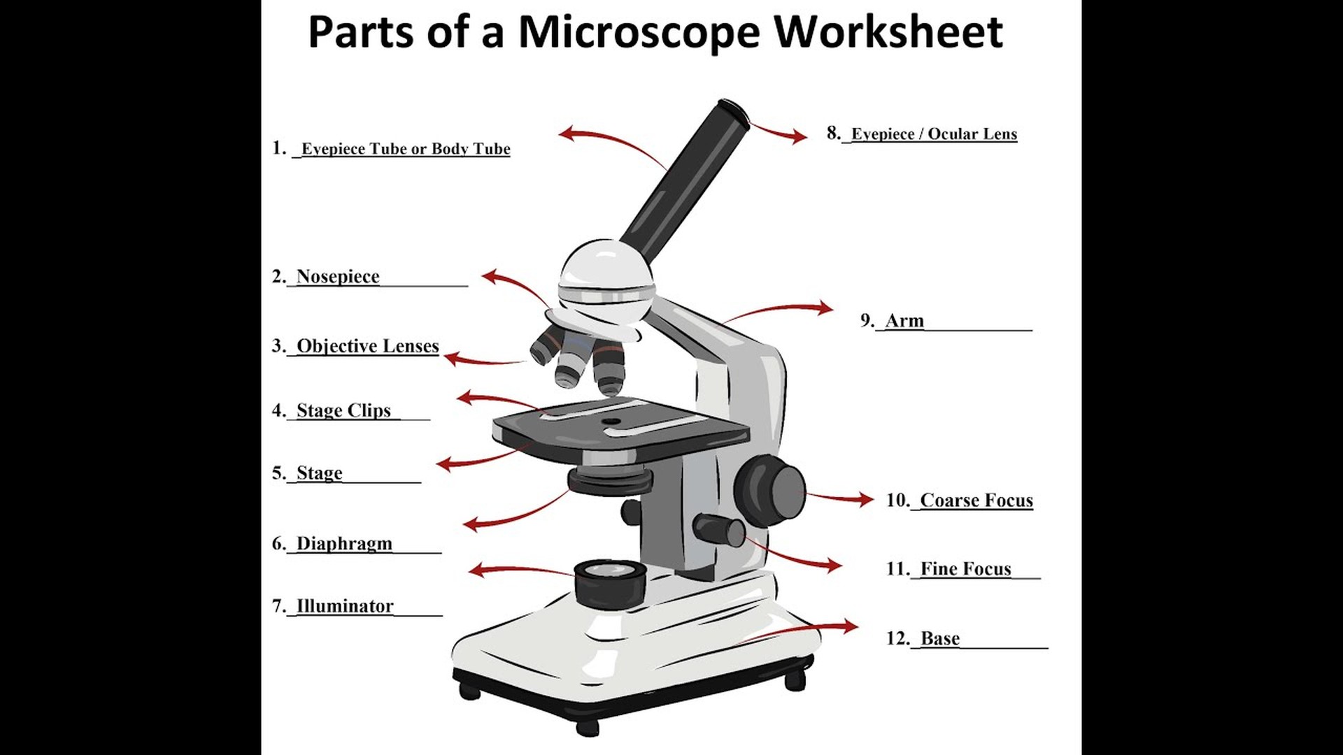 Устройство и принцип работы микроскопа