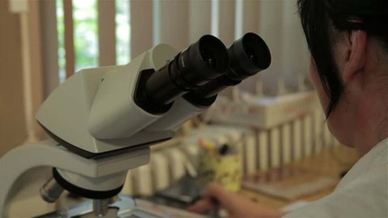 Оборудование для патологической анатомии