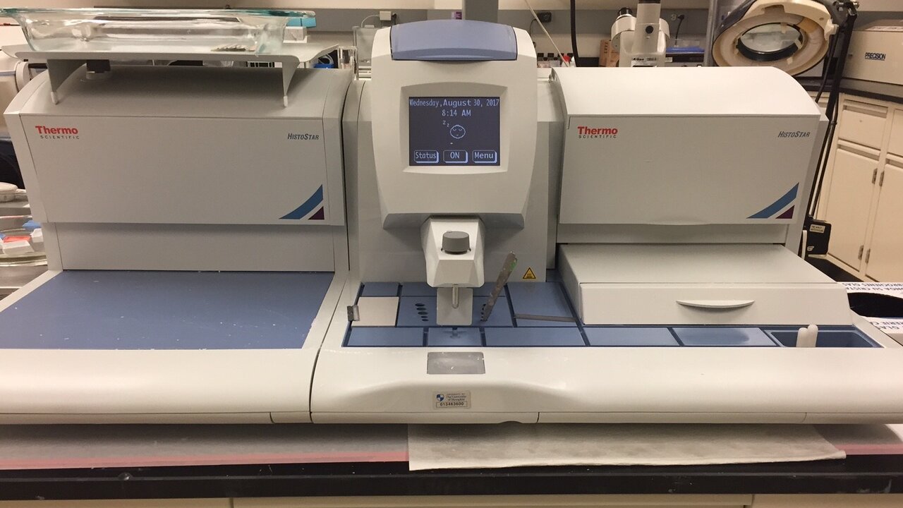 Системы заливки в парафин