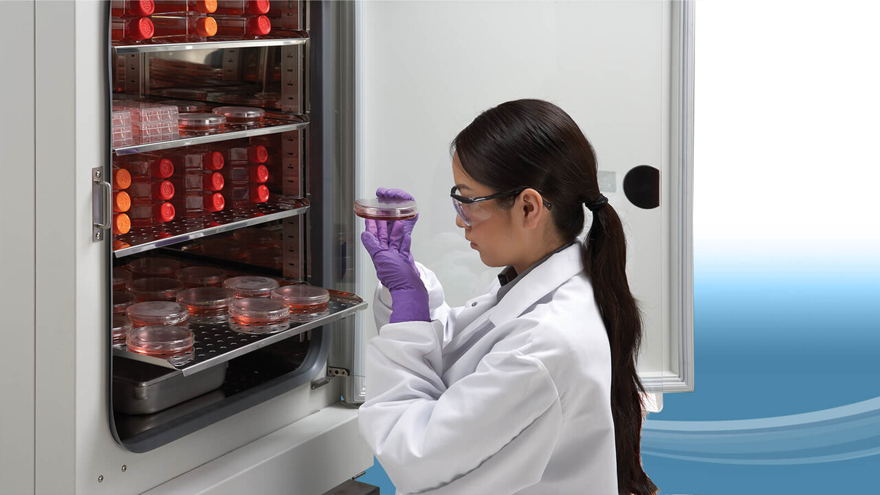 CO₂-инкубаторы